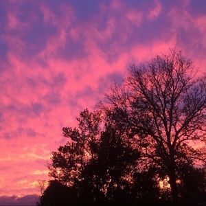 Meet your Posher, Briana